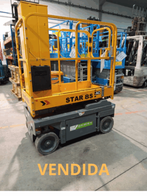 PLATAFORMA ELEVADORA VERTICAL HAULOTTE